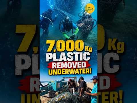 Scuba divers remove 7,000 kg of plastic from the sea