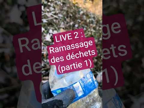 Litter collection cleanup