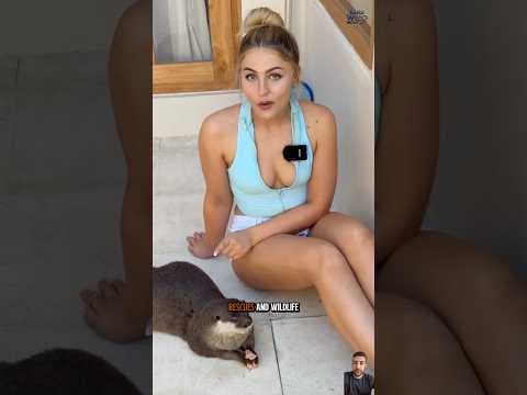 Heartwarming animal rescue story