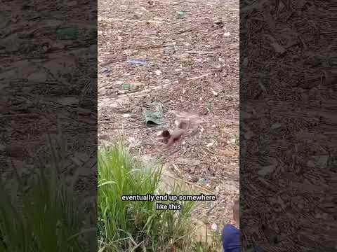 A river completely covered in trash