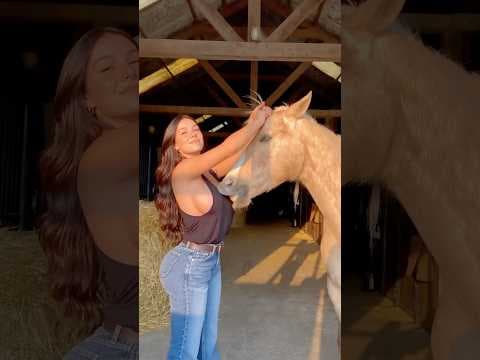 13 heartwarming animal rescues