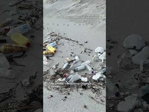 Beach cleanup volunteers find vintage plastic bottles