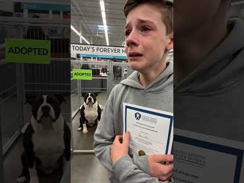 Boy tears up as shelter dog gets adopted